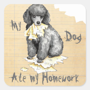 Meine Miniatur Poodle aß meine Hausaufgaben Quadratischer Aufkleber
