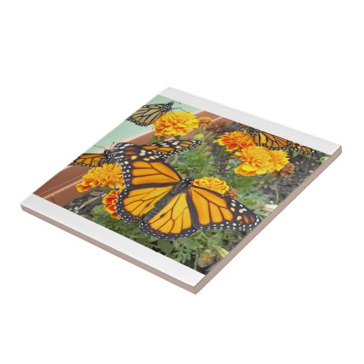 Meine Monarchschmetterlinge Fliese (Seite)