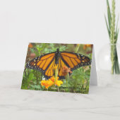 Meine Monarchschmetterlingskarte Karte (Rückseite)