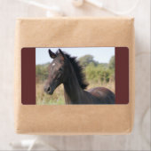 Meine neue Pony (Insitu)