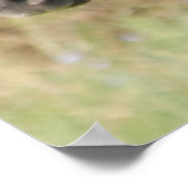 Meine neue Pony Poster (Ecke)