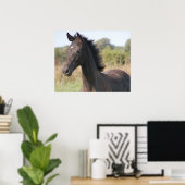 Meine neue Pony Poster (Heimbüro)