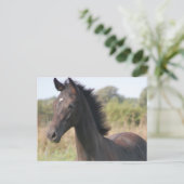 Meine neue Pony Postkarte (Stehend Vorderseite)