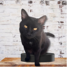 Meine Niedliche Katze Fotoskulptur