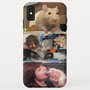 Meine Niedlichen Rats auf iPhone XS Max Fall Case-Mate iPhone Hülle