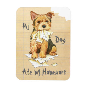 Meine Norwich Terrier Ate meine Hausaufgaben Magnet
