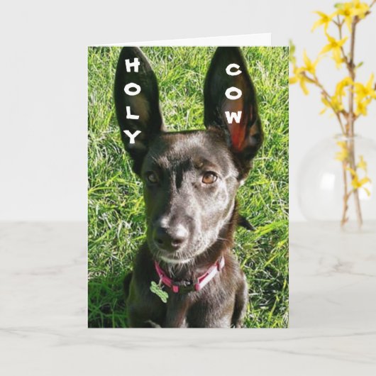 MEINE OHREN KAMEN IN HAND...HERD U R **13** KARTE (Gelbe Blume)