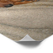 Meine Person denkt, er sei überlegen, weil Poster (Ecke)