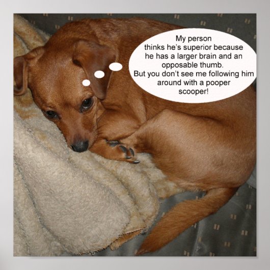 Meine Person denkt, er sei überlegen, weil Poster (Vorne)