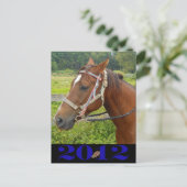 Meine Pferdepostkarte Postkarte (Stehend Vorderseite)