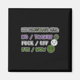 Meine Pronomen sind Trio Genderqueer Flag Colors S Magnet