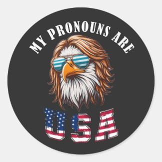Meine Pronomen Sind USA Runder Aufkleber