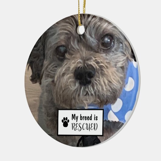 Meine Rasse ist gerettet Foto Keramik Ornament (Links)