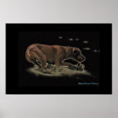 Meine Rhett Poster (Vorne)