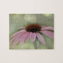 Meine rosa Blume.. "Echinacea purpurea"