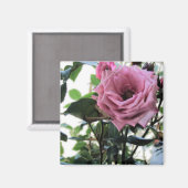 Meine Rose Magnet (Vorderseite/Rückseite)