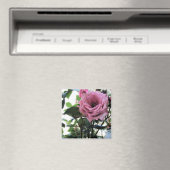 Meine Rose Magnet (In Situ (Geschirrspüler))