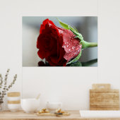 Meine Rose zum Geburtstag. Poster (Küche)