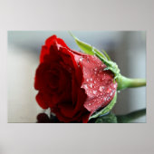 Meine Rose zum Geburtstag. Poster (Vorne)