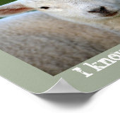 Meine Schafe hörten meine Stimme, Bibelverse John  Poster (Ecke)