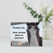 Meine Scheine gesehen? Postkarte (Stehend Vorderseite)