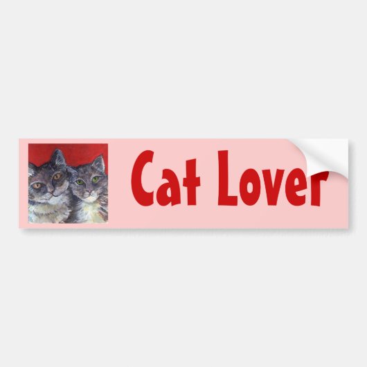 Meine schönen Tabby-Katzen Autoaufkleber (Vorne)