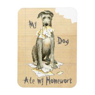 Meine schottische Deerhound Ate meine Hausaufgaben Magnet