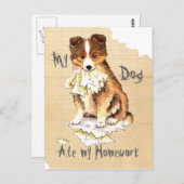 Meine Sheltie aß meine Hausaufgaben Postkarte (Vorne/Hinten)