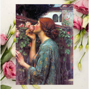 Meine_Süße_Rose Postkarte