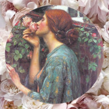 Meine_Süße_Rose