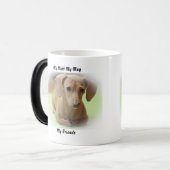 Meine Tasse Mutt meine Freunde. (Vorderseite Links)
