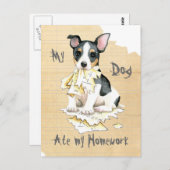 Meine Teddy Roosevelt Terrier Ate meine Hausaufgab Postkarte (Vorne/Hinten)