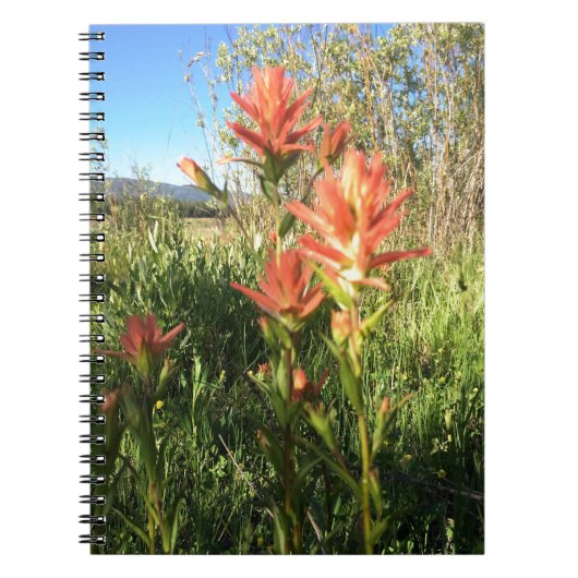 Meine Teufel Paintbrush Notizblock (Vorderseite)