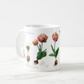 meine Tulpe! Kaffeetasse (Vorderseite Links)