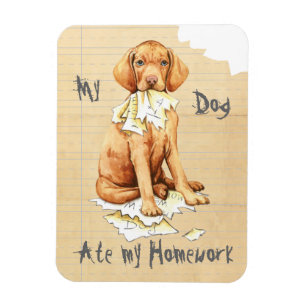 Meine Vizsla Ate Hausaufgaben Magnet