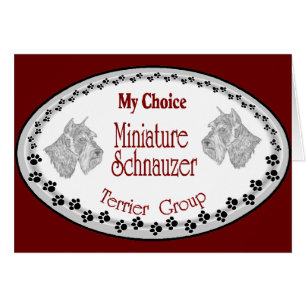 meine Wahl Mini Schnauzer