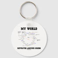 Meine Welt dreht sich um Krebs (Energiezyklus)