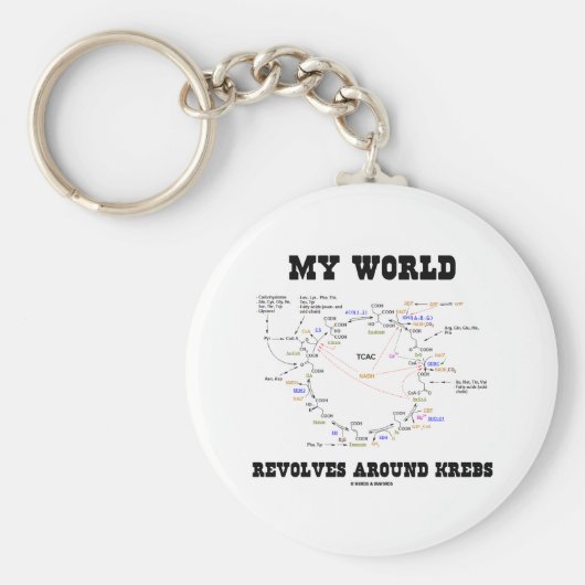 Meine Welt dreht sich um Krebs (Energiezyklus) Schlüsselanhänger (Vorne)