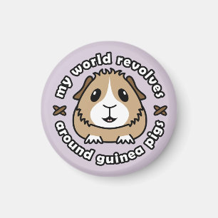 Meine Welt rotiert… Magnet