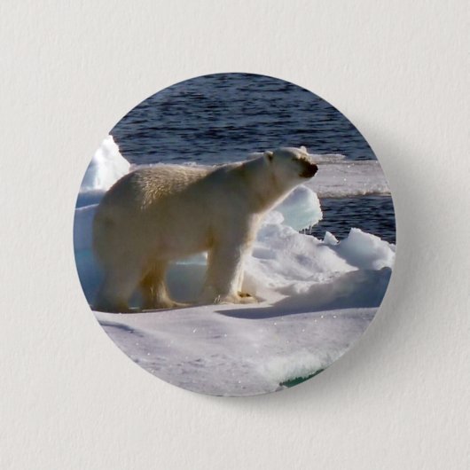 Meine Welt schmilzt! Button (Vorderseite)