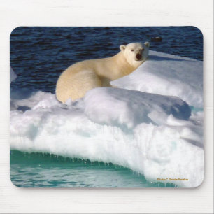 Meine Welt schmilzt! Mousepad
