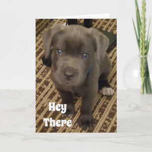 MEINE WÜNSCHE IST EIN "KISS" VON IHNEN AM GEBURTST KARTE