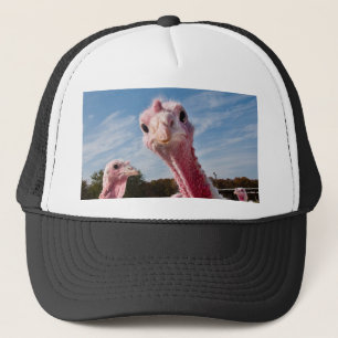 Meinen Kopf in dem setzen Sie? Truckerkappe