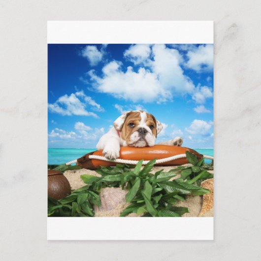 Meinst du das ernst? postkarte (Vorderseite)