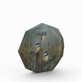 Meisenoktagon Fotoblock (Links)