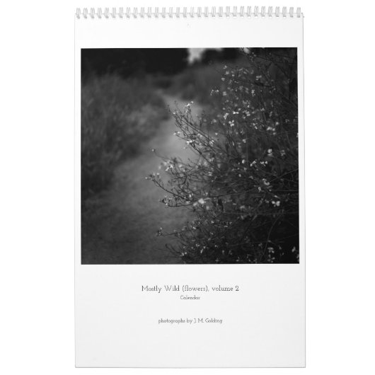 Meist frei (Blume), Band 2, Kalender (Titelbild)