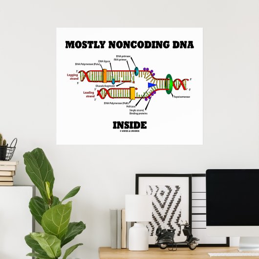 Meist nicht codierende DNA innerhalb (DNA-Replikat Poster (Heimbüro)
