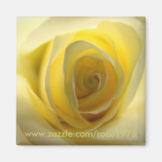 Meist zentriert magnet