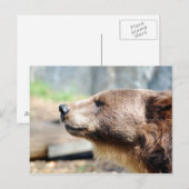 Meister Brauner Postkarte (Vorne/Hinten)
