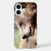 Meister Bruin.. Case-Mate iPhone Hülle (Rückseite)
